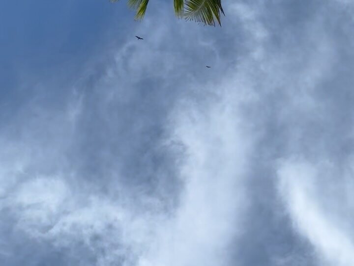 Instagram post from torontotantrafestival. This post is in position 4.